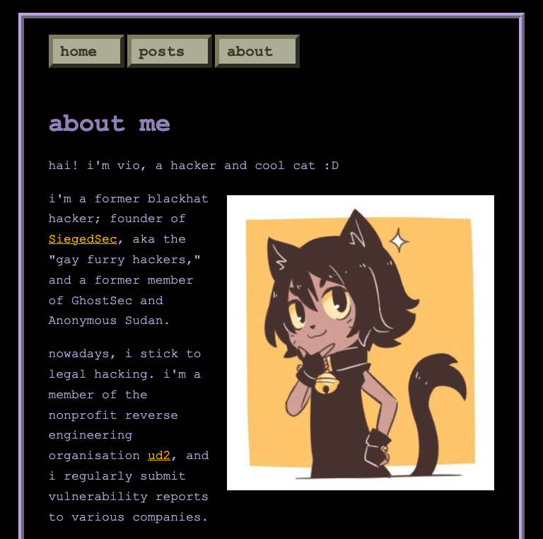 Figure 36. Personal profile of SiegedSec’s founder 
